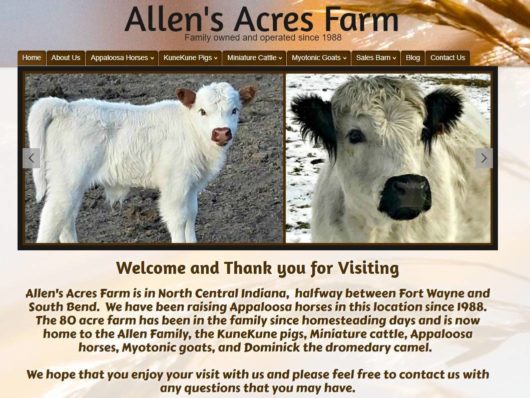 Livestock breeder web design