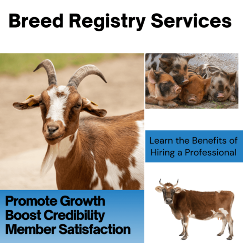 Breed Registry Services will help your breed registry.