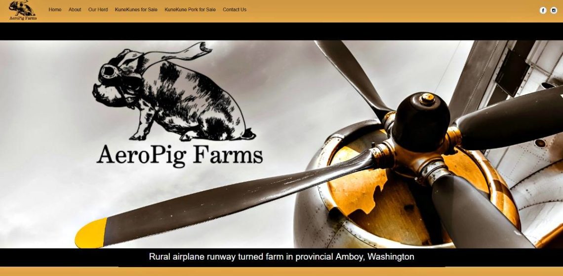 KuneKune pig web design