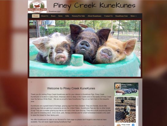 Livestock breeder web design